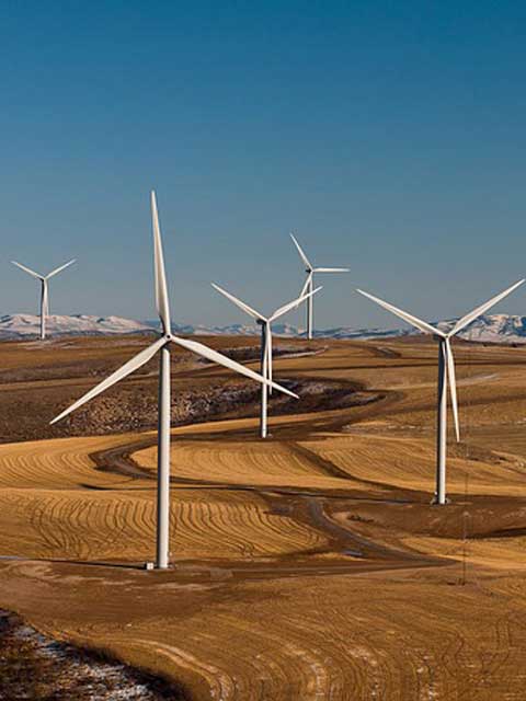 轰炸电话号码网站